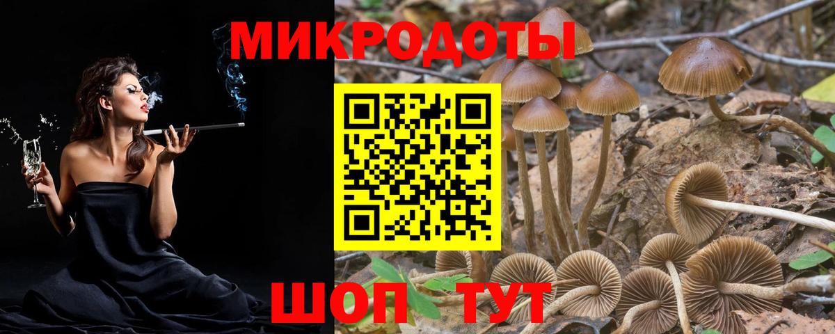 Псилоцибиновые грибы Psilocybe  Вход с VPN  Кропоткин 