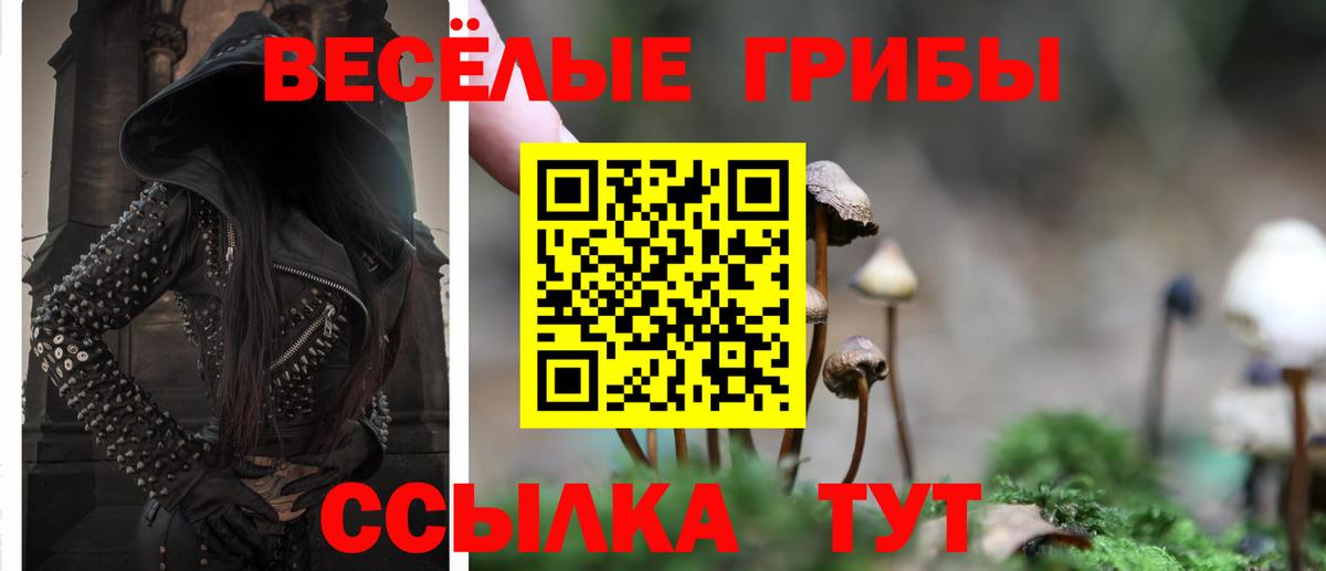 Псилоцибиновые грибы GOLDEN TEACHER Кропоткин